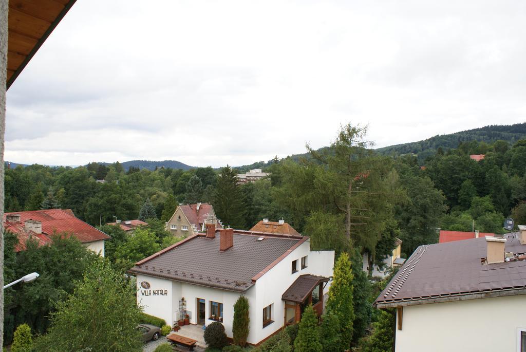 Willa Moja Gawra Lądek-Zdrój Rom bilde